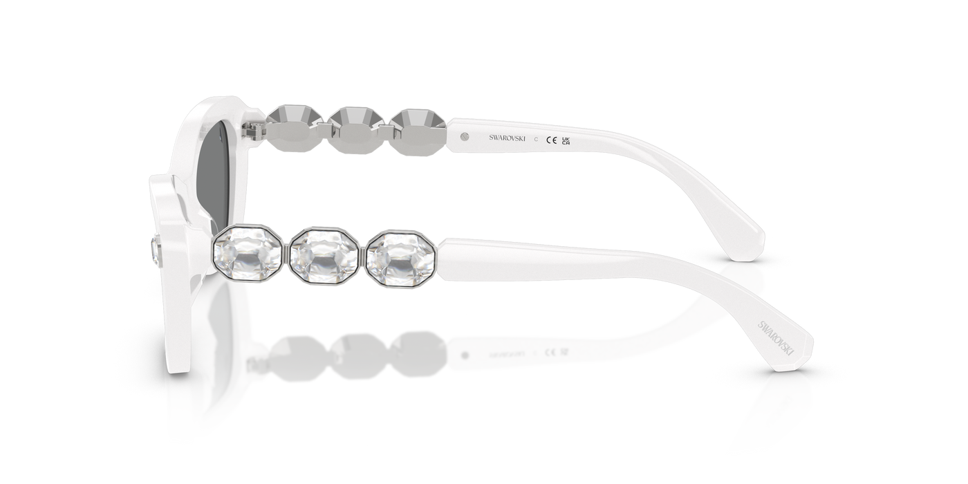 Gafas de Sol Swarovski SK6033 105087 54 19