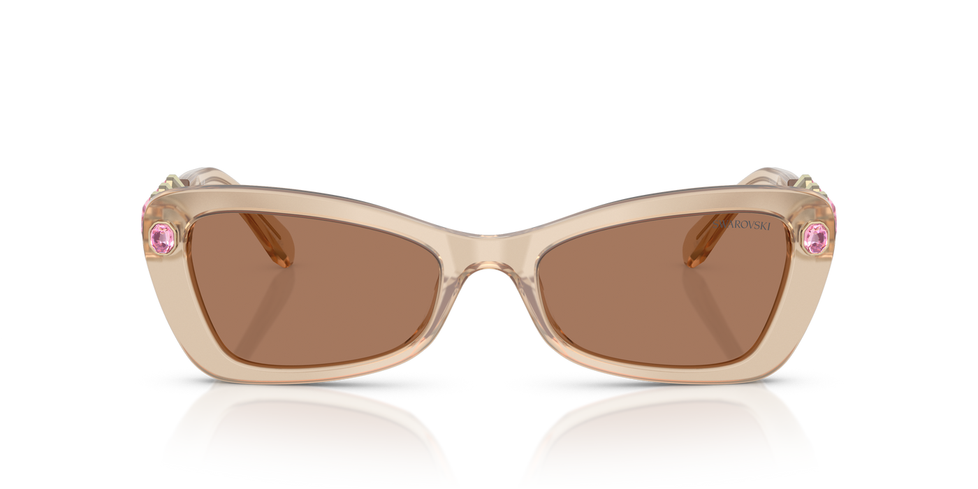 Gafas de Sol Swarovski SK6033 106673 54 19