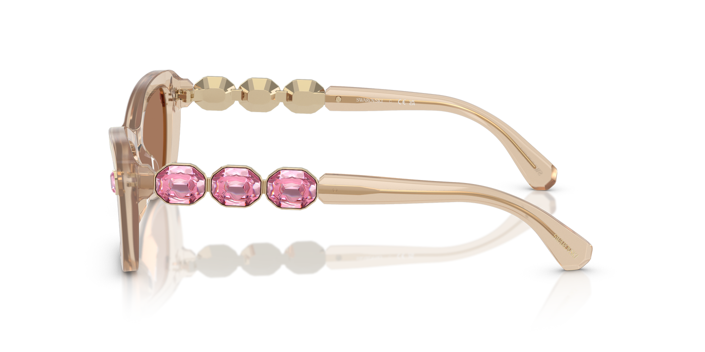 Gafas de Sol Swarovski SK6033 106673 54 19