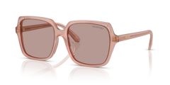 Gafas de Sol Swarovski SK6034D 10257N 56 17