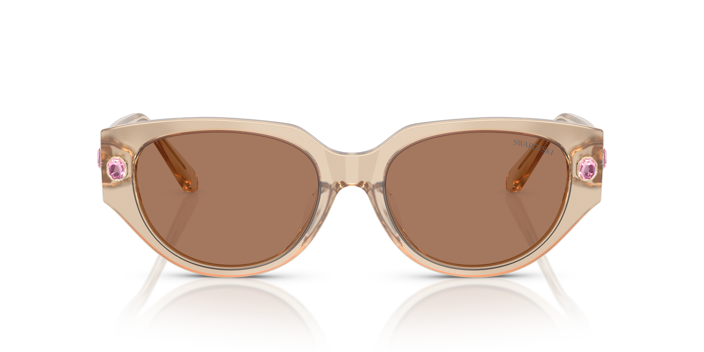 Gafas de Sol Swarovski SK6035D 106673 54 18