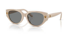 Gafas de Sol Swarovski SK6035D 106887 54 18
