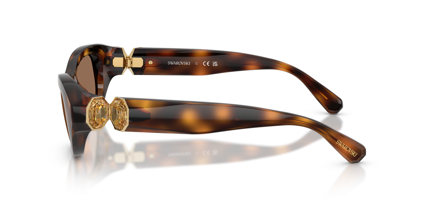 Gafas de Sol Swarovski SK6036U 100273 50 20
