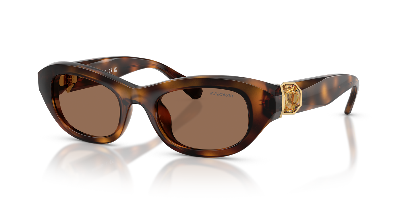 Gafas de Sol Swarovski SK6036U 100273 50 20