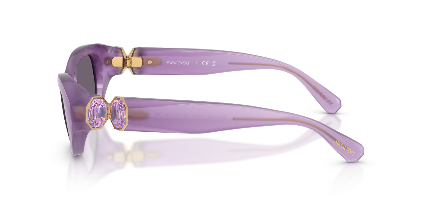 Gafas de Sol Swarovski SK6036U 10751A 50 20