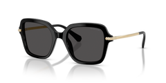 Gafas de Sol Swarovski SK6040 100187 50 20