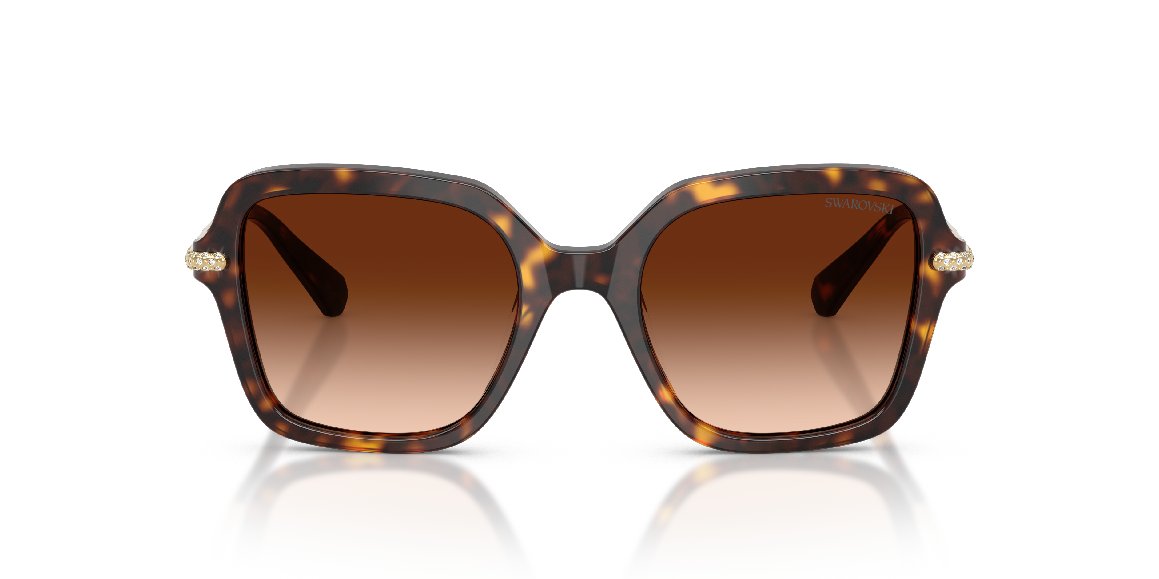 Gafas de Sol Swarovski SK6040 100274 50 20