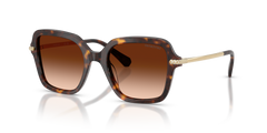 Gafas de Sol Swarovski SK6040 100274 50 20