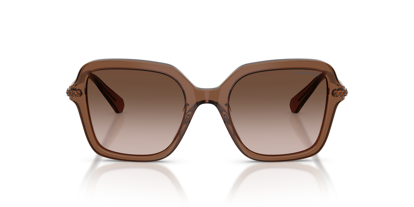 Gafas de Sol Swarovski SK6040 106713 50 20