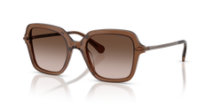 Gafas de Sol Swarovski SK6040 106713 50 20