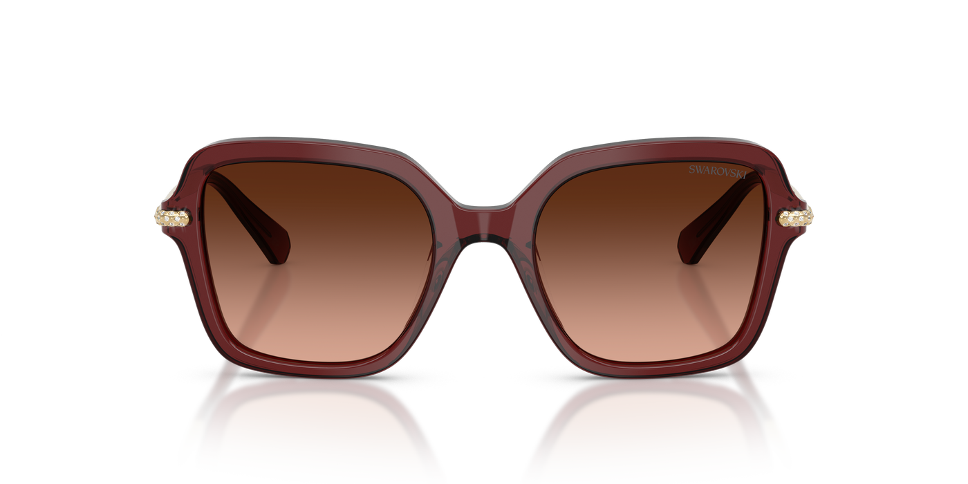 Gafas de Sol Swarovski SK6040 10735M 50 20