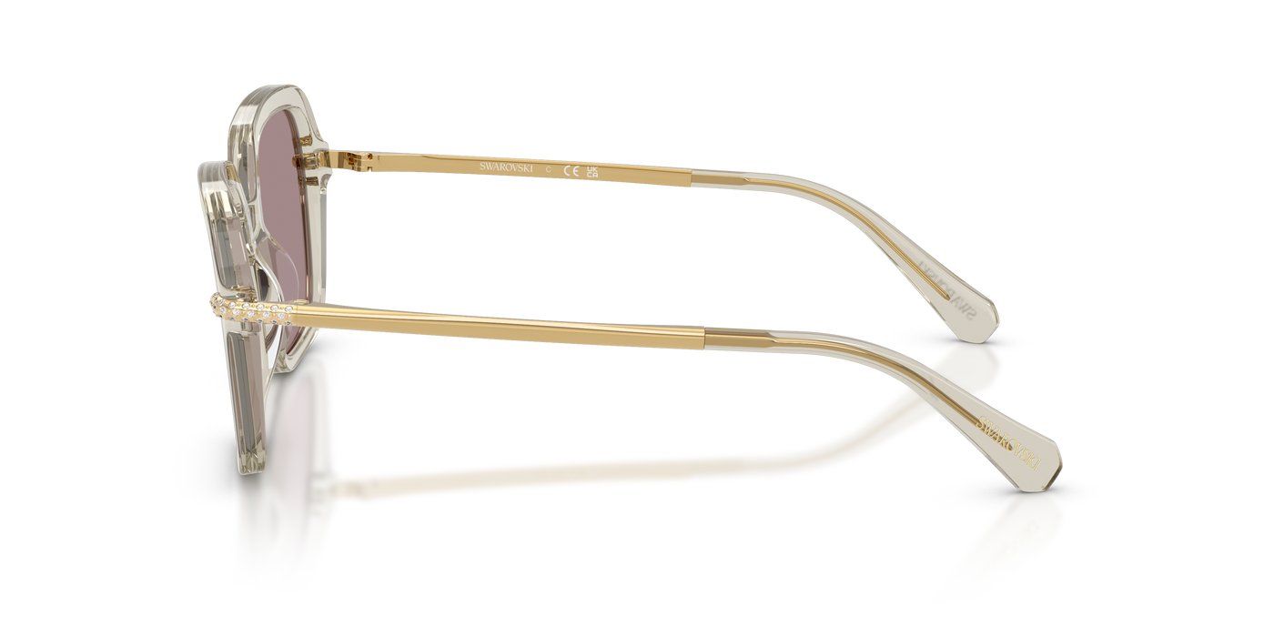 Gafas de Sol Swarovski SK6040 3003LA 50 20