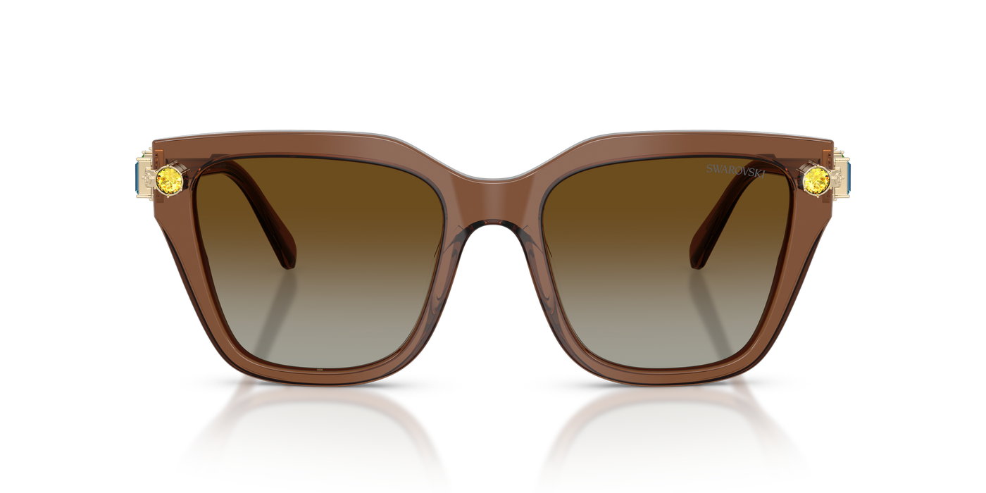 Gafas de Sol Swarovski SK6041 1067T5 53 19