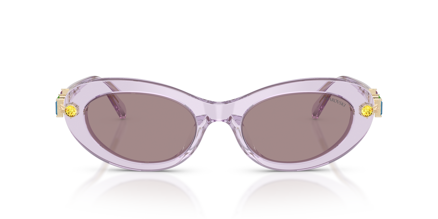 Gafas de Sol Swarovski SK6042 1079LA 53 20