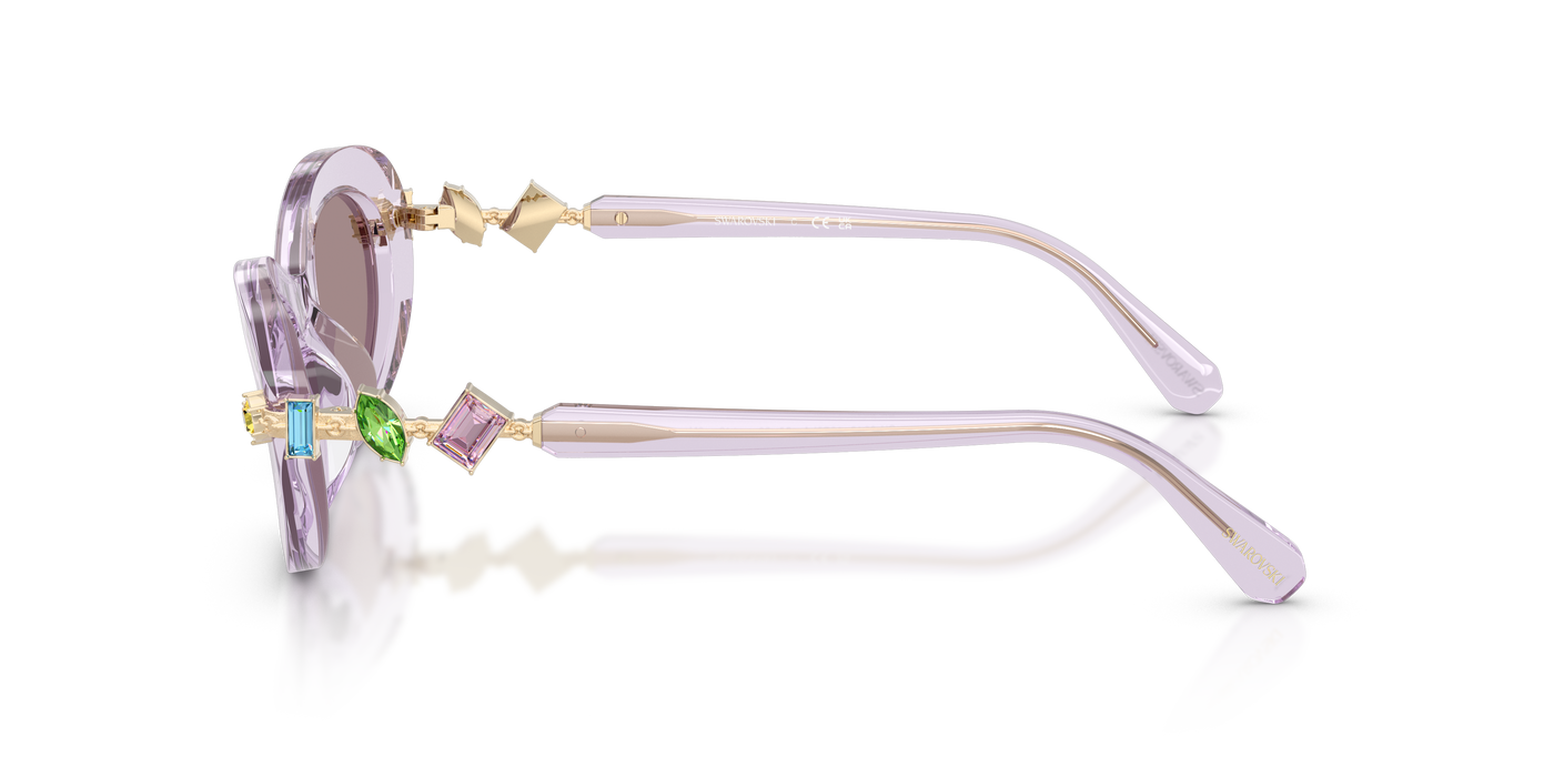 Gafas de Sol Swarovski SK6042 1079LA 53 20
