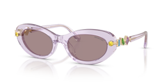 Gafas de Sol Swarovski SK6042 1079LA 53 20
