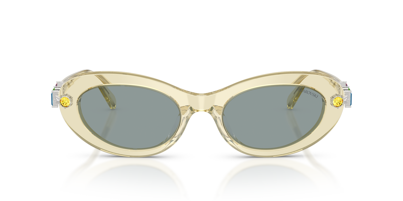 Gafas de Sol Swarovski SK6042 1080/1 53 20