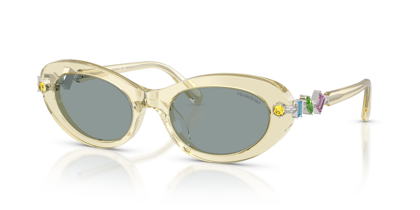 Gafas de Sol Swarovski SK6042 1080/1 53 20