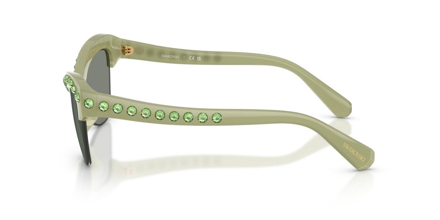 Gafas de Sol Swarovski SK6043 10746R 55 21