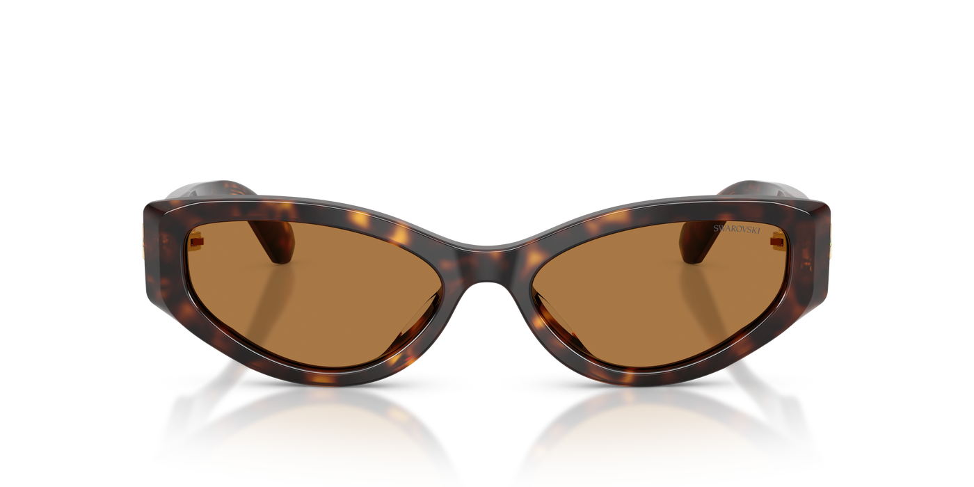 Gafas de Sol Swarovski SK6045U 100273 55 17