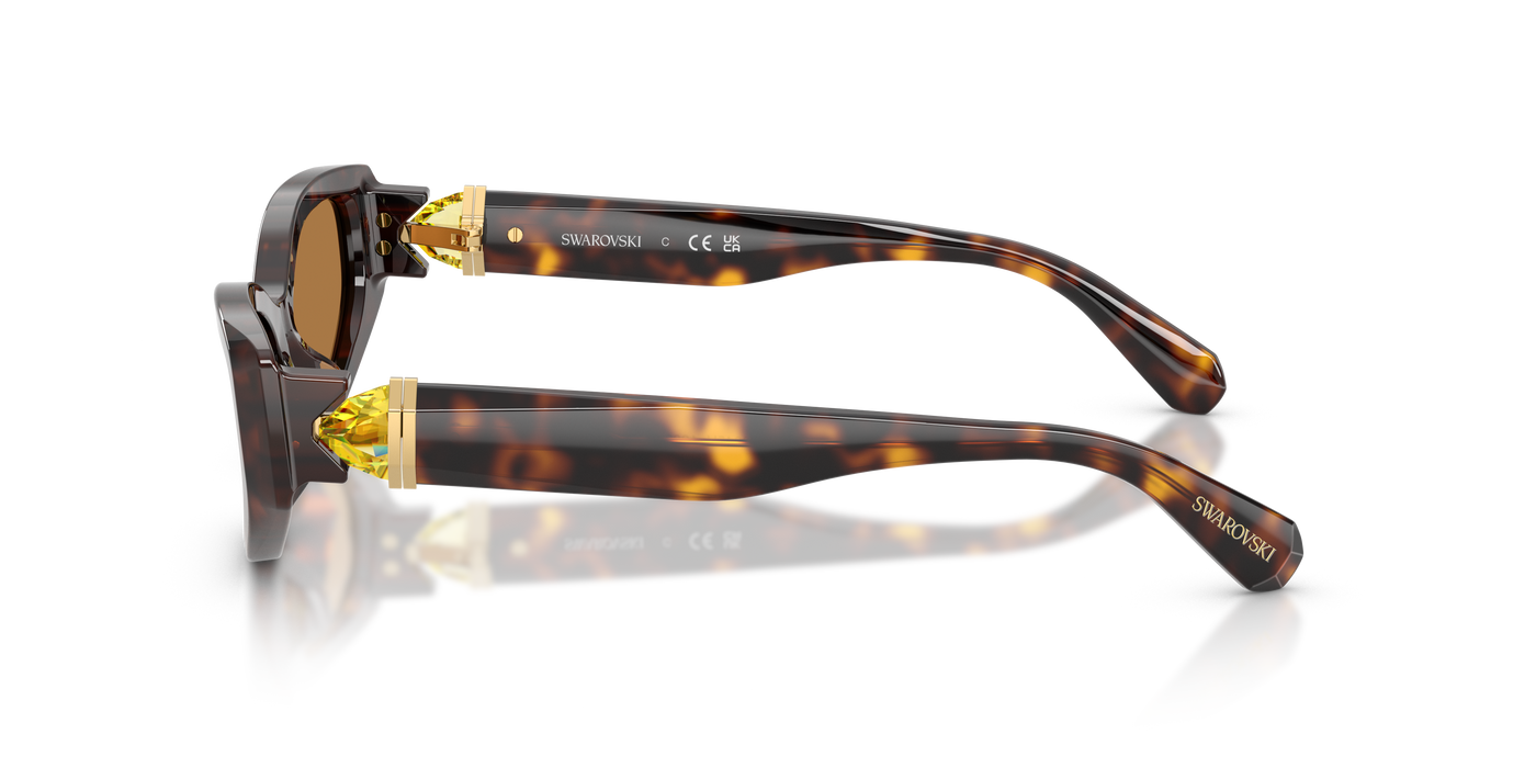 Gafas de Sol Swarovski SK6045U 100273 55 17