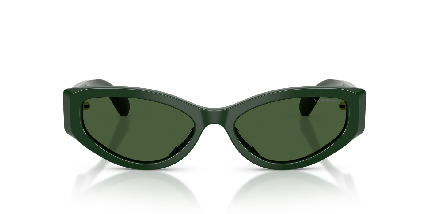 Gafas de Sol Swarovski SK6045U 102671 55 17