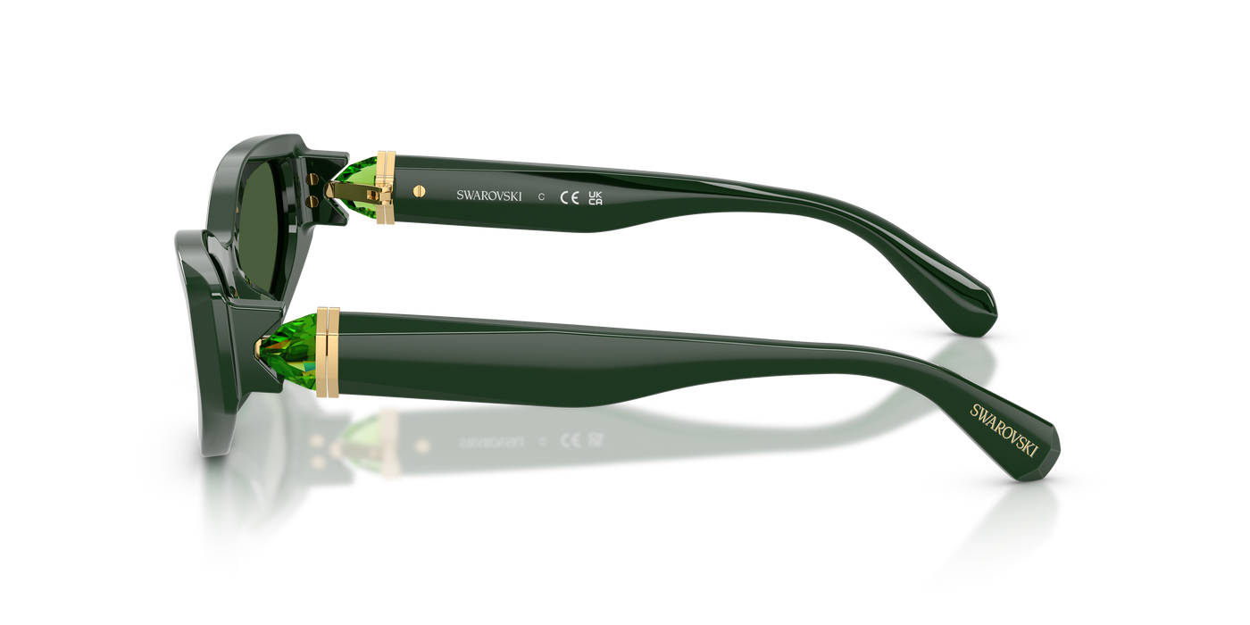 Gafas de Sol Swarovski SK6045U 102671 55 17