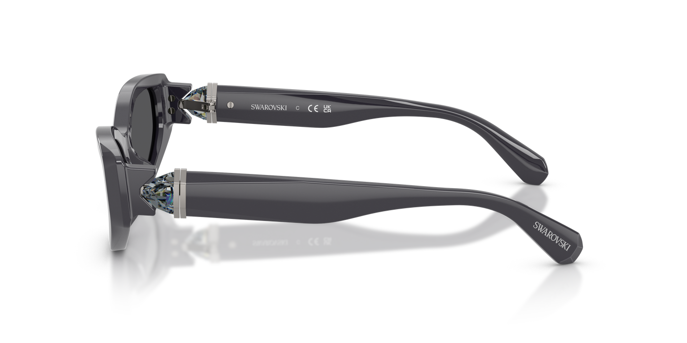 Gafas de Sol Swarovski SK6045U 10836G 55 17