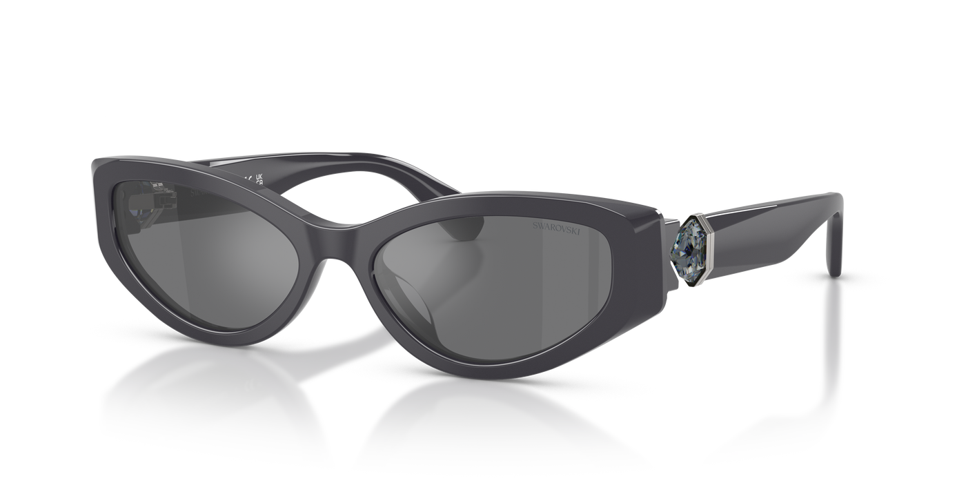 Gafas de Sol Swarovski SK6045U 10836G 55 17