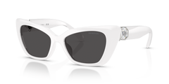 Gafas de Sol Swarovski SK6047 105087 54 17