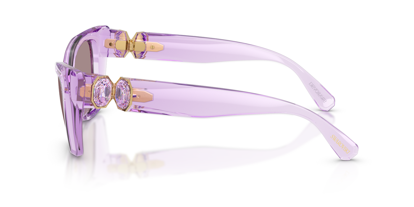 Gafas de Sol Swarovski SK6047 1079LA 54 17