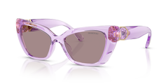 Gafas de Sol Swarovski SK6047 1079LA 54 17