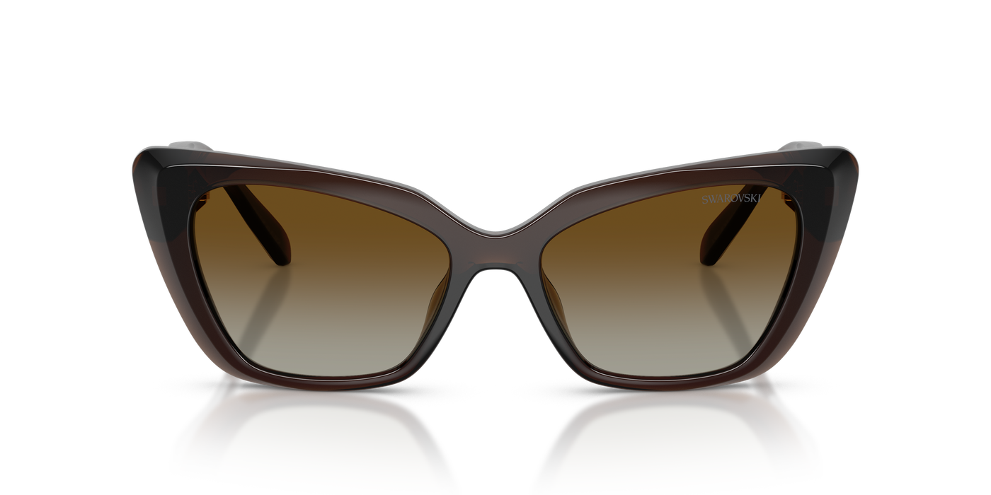 Gafas de Sol Swarovski SK6047 1084T5 54 17