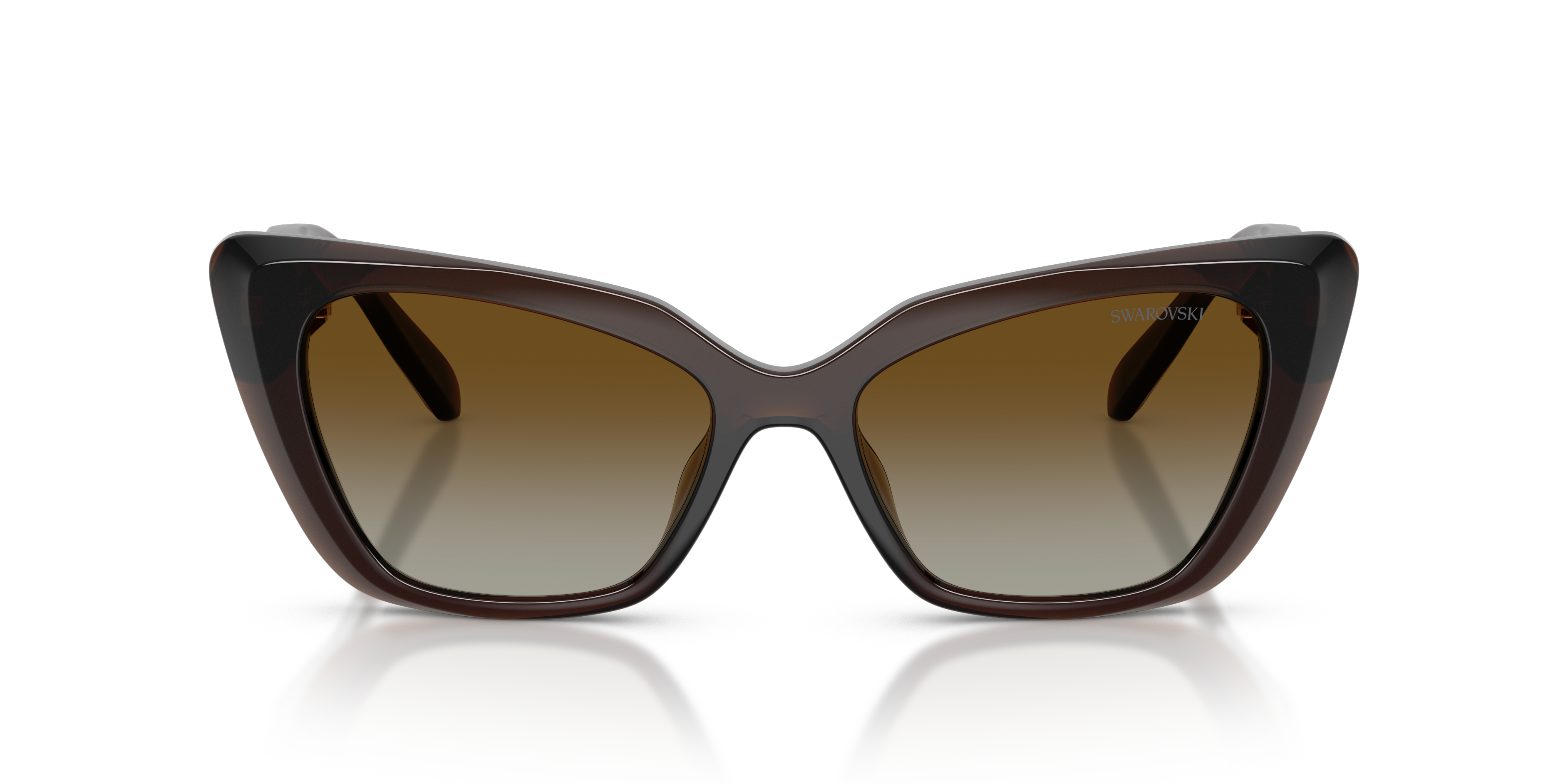 Gafas de Sol Swarovski SK6047 1084T5 54 17