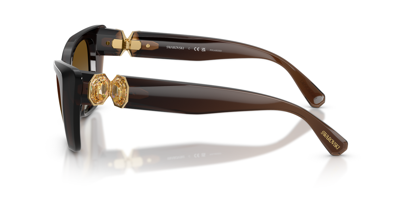 Gafas de Sol Swarovski SK6047 1084T5 54 17