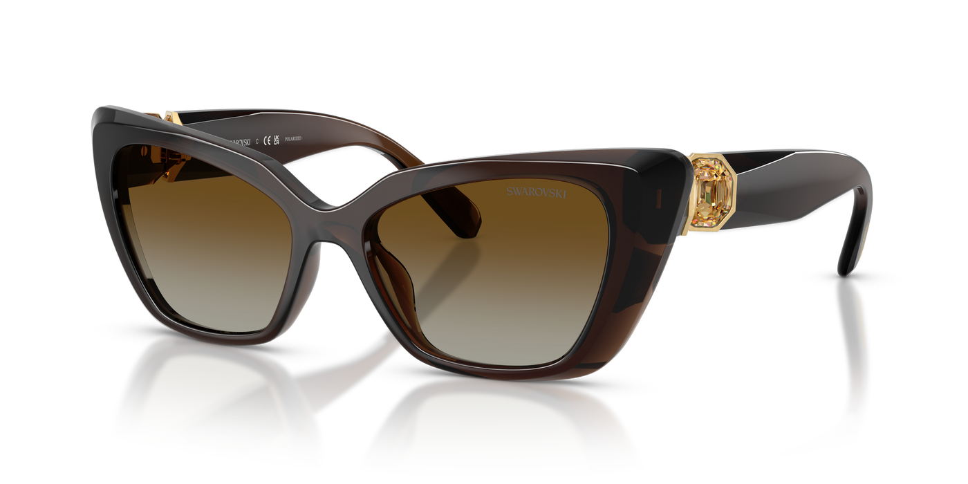 Gafas de Sol Swarovski SK6047 1084T5 54 17