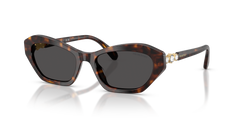 Gafas de Sol Swarovski SK6048 100287 54 18