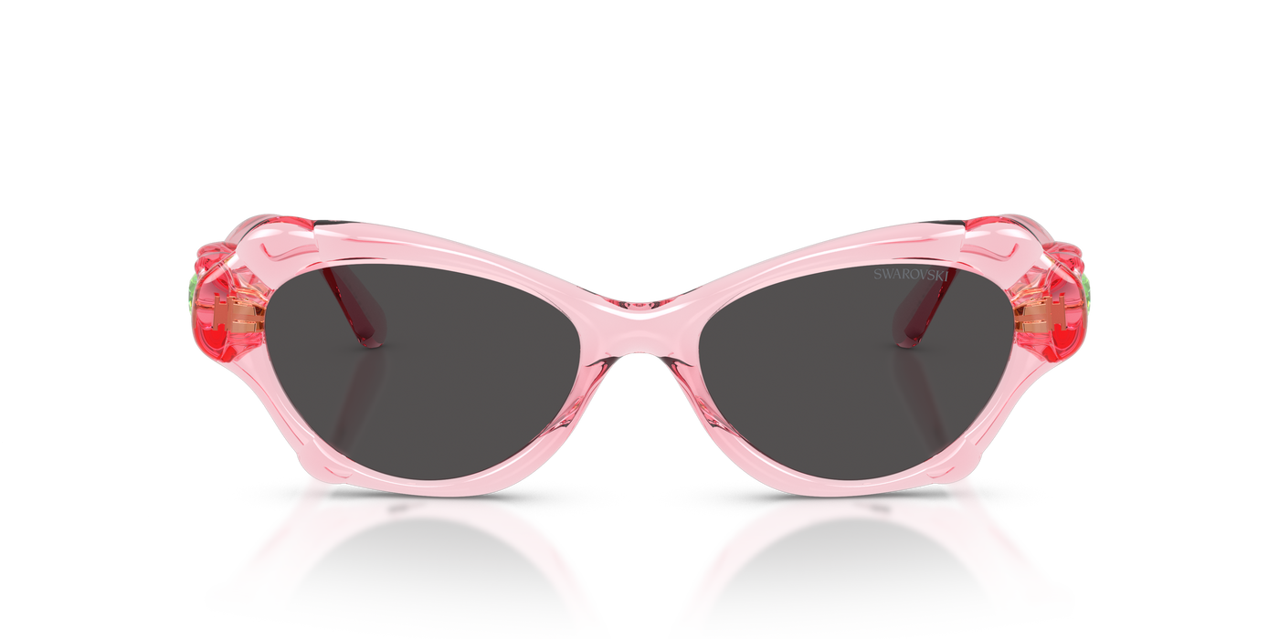 Gafas de Sol Swarovski SK6050 108887 52 17