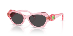 Gafas de Sol Swarovski SK6050 108887 52 17