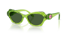 Gafas de Sol Swarovski SK6050 108971 52 17