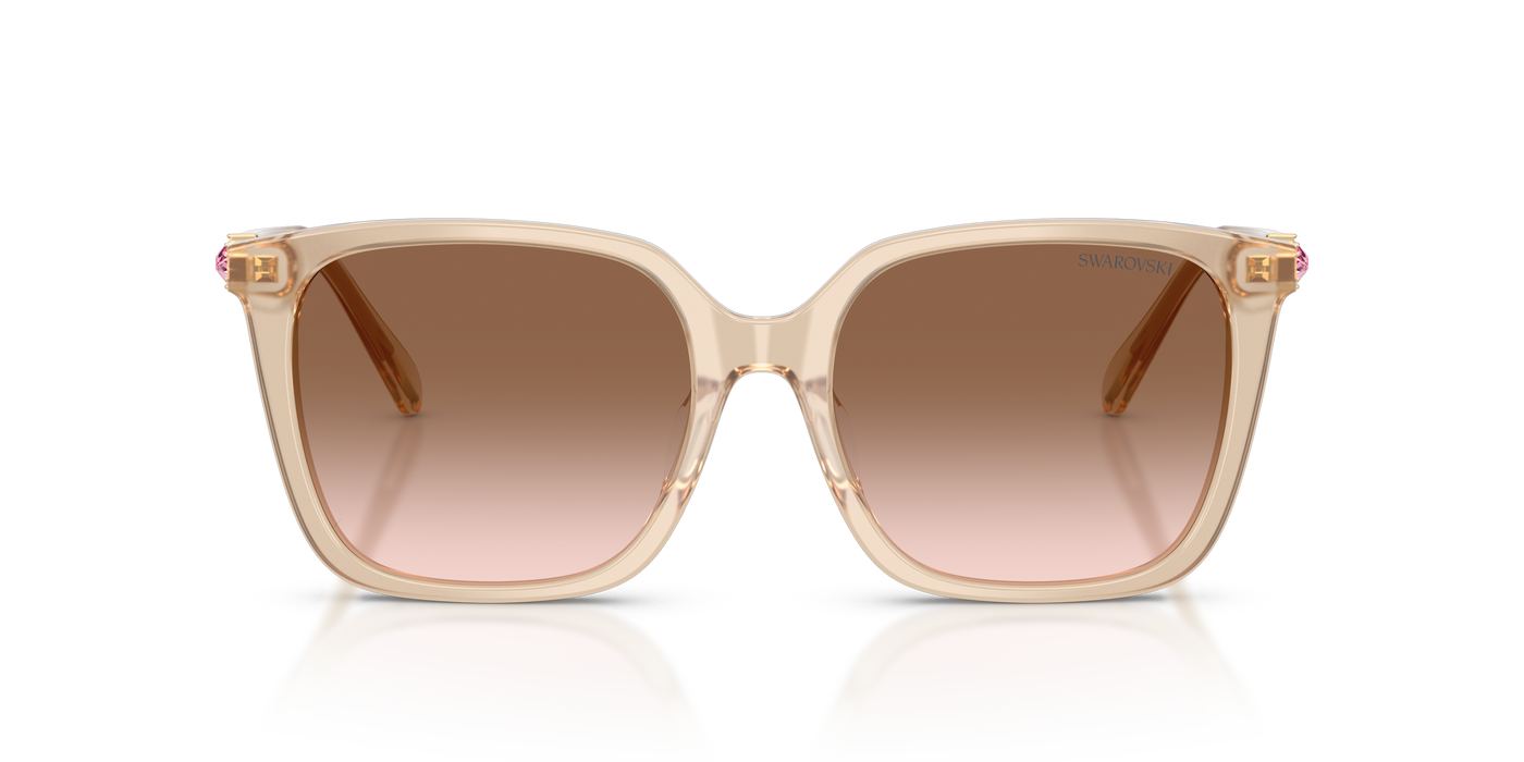 Gafas de Sol Swarovski SK6053D 103413 55 17