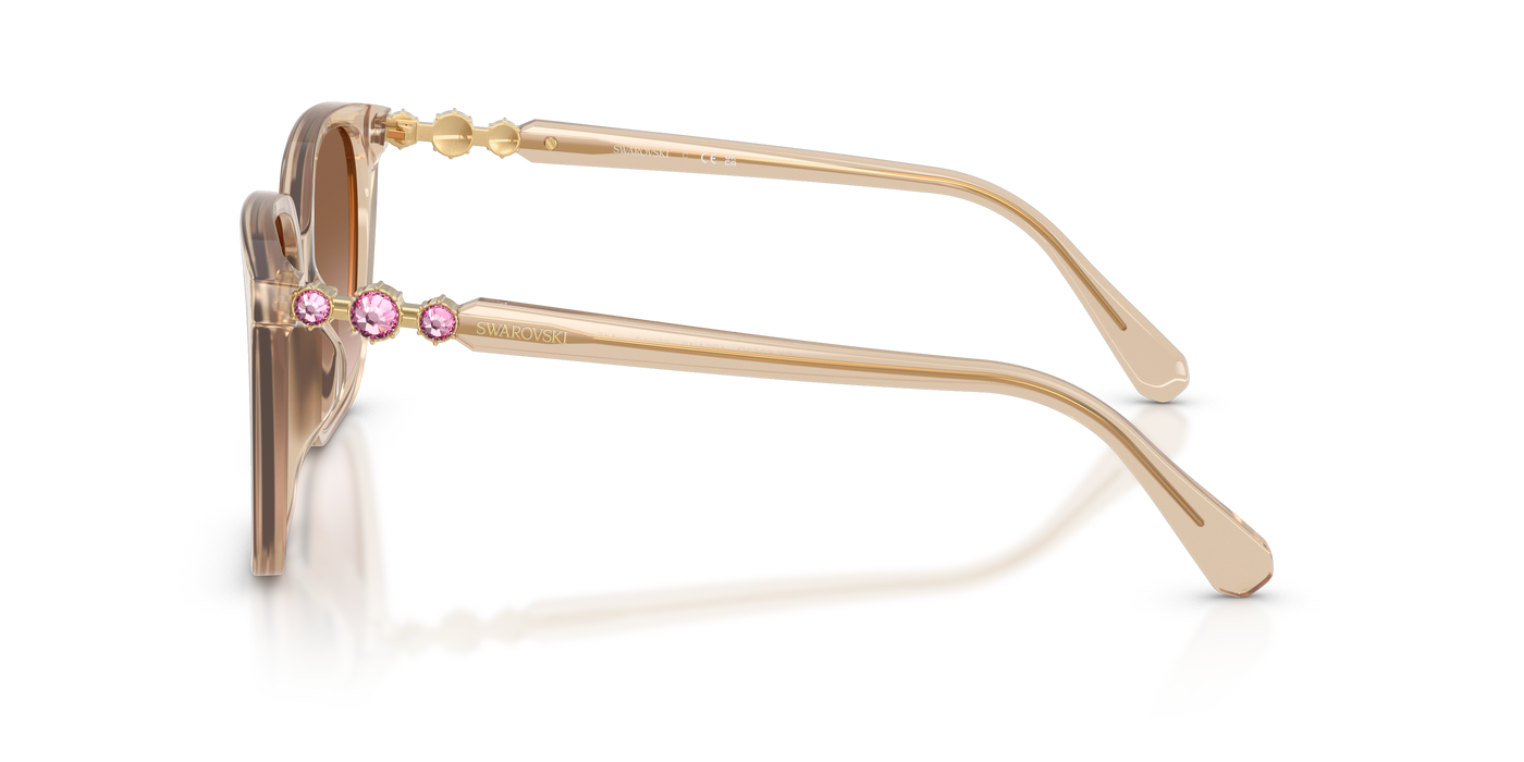 Gafas de Sol Swarovski SK6053D 103413 55 17
