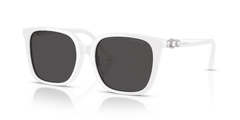 Gafas de Sol Swarovski SK6053D 105087 55 17