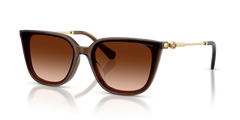 Gafas de Sol Swarovski SK6054D 108474 63 15