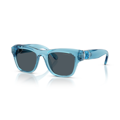 Sunglasses Swarovski SK6056U 107887 50 21