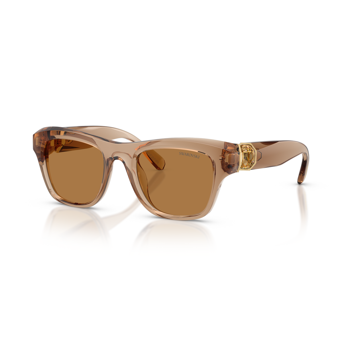 Gafas de Sol Swarovski SK6056U 109273 50 21