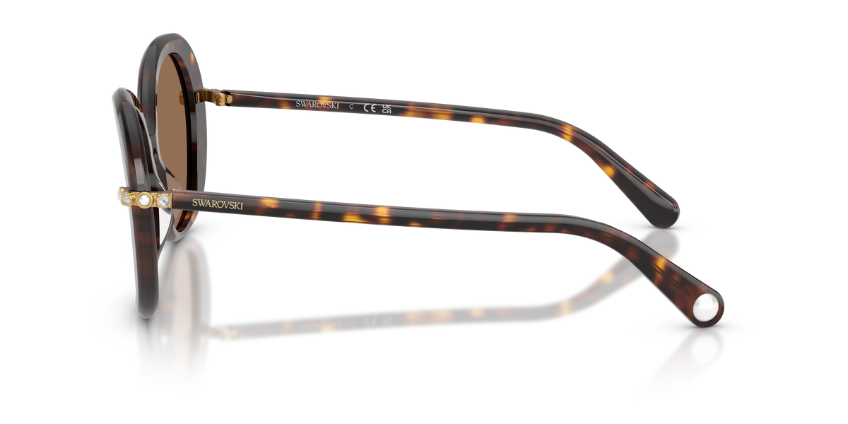 Sunglasses Swarovski SK6059 100273 55 16