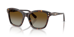 Gafas de Sol Swarovski SK6063 1002T5 54 19