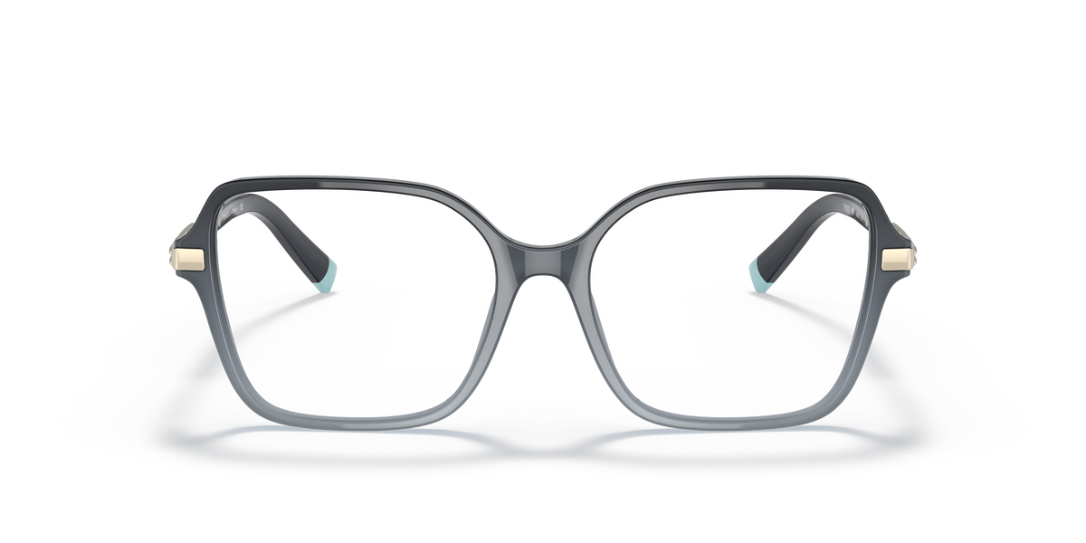 Gafas de Sol Tiffany & Co. TF2222 8307 54 16