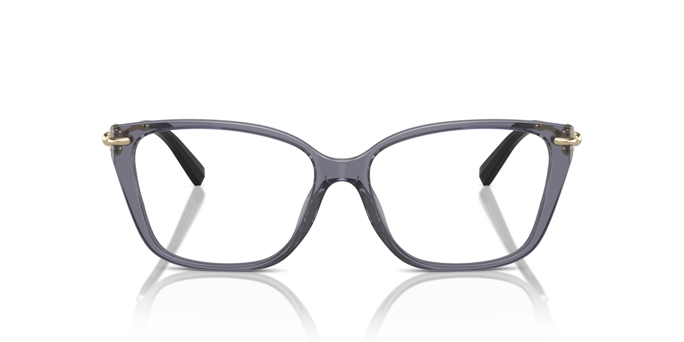 Gafas Graduadas Tiffany & Co. TF2248K 8405 55 15